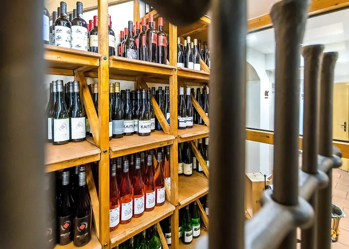 Saigerhuette 4* اوبلرنهاو